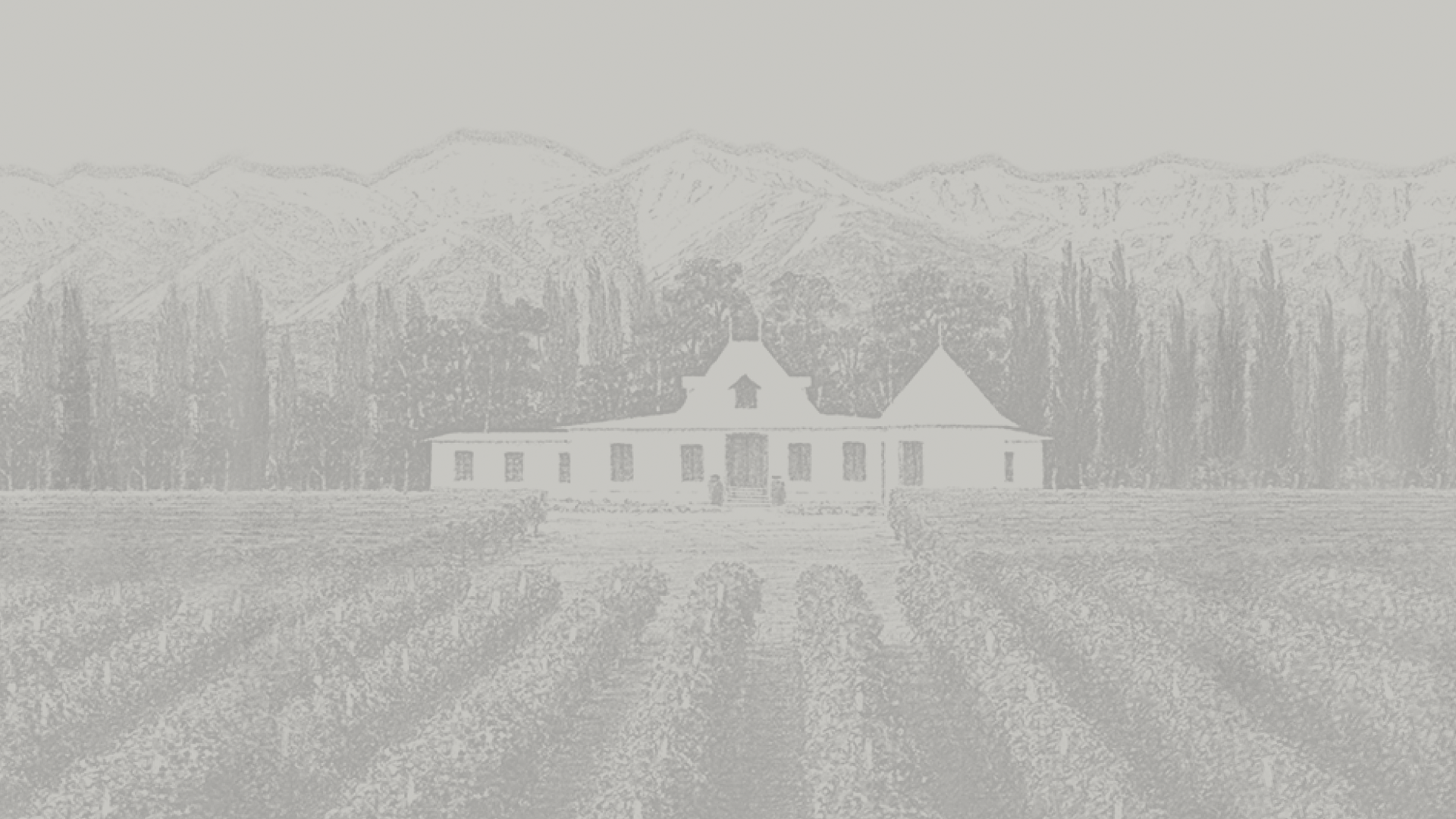 Fondo de dibujo de montañas y viñedo