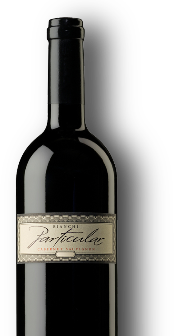 Botella de Bianchi Particular Cabernet