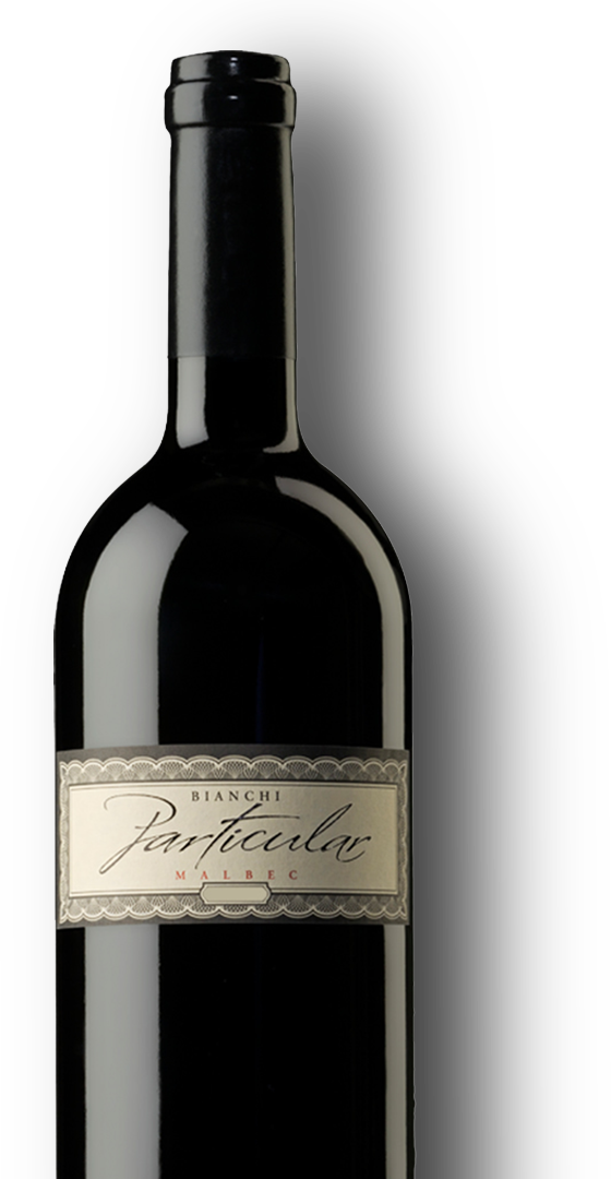 Botella de Bianchi Particular Malbec