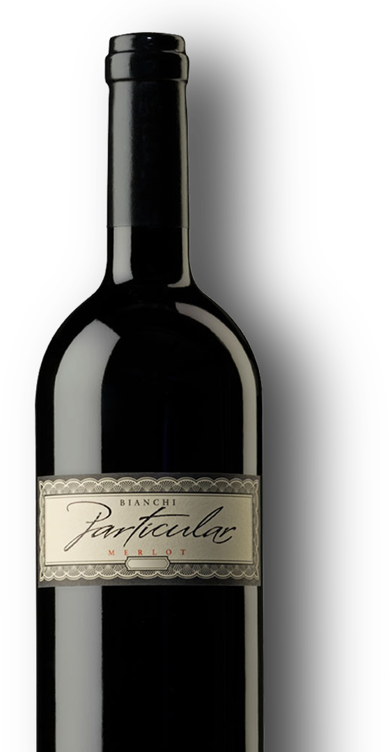 Botella de Bianchi Particular Merlot