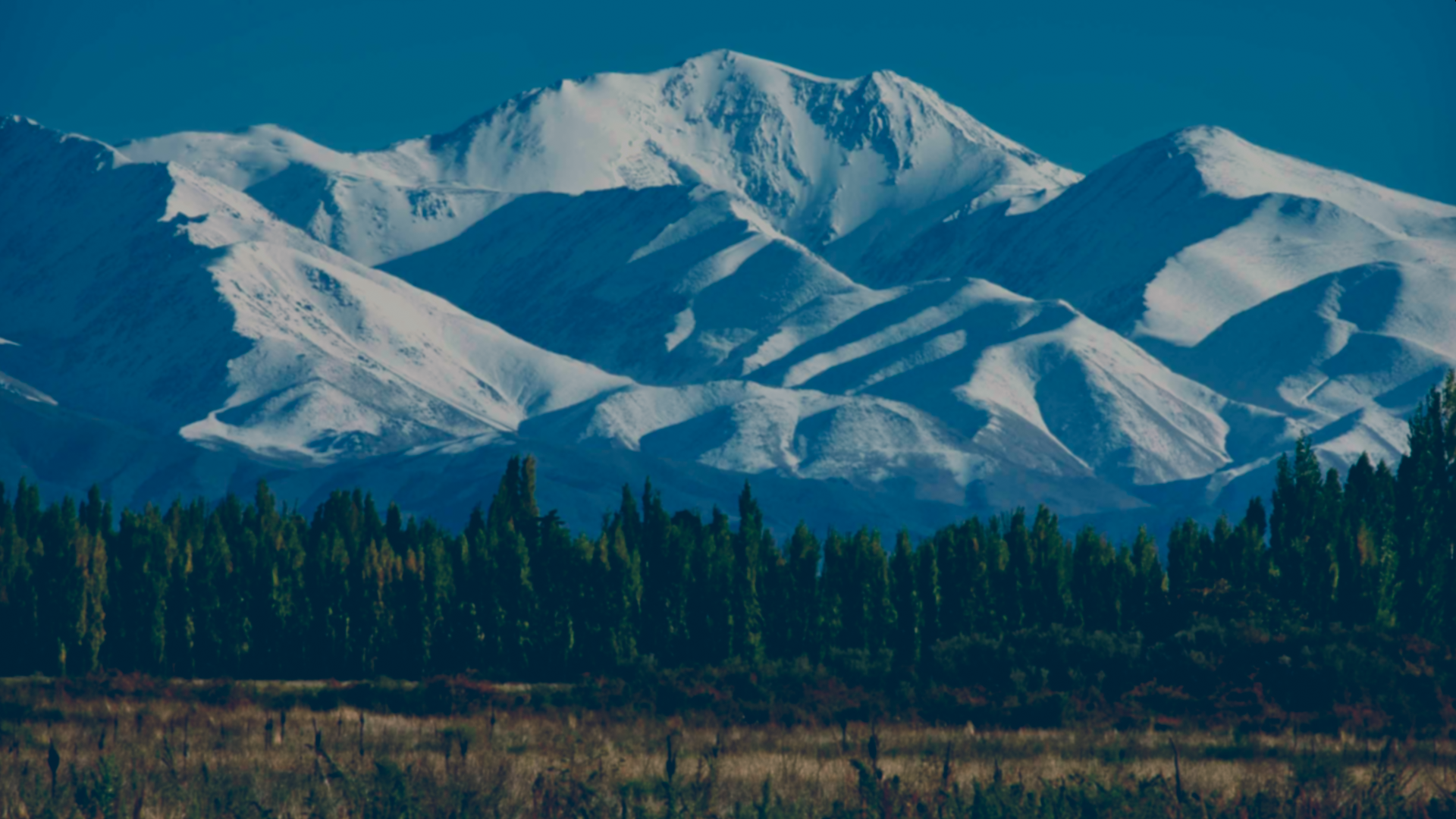 Fondo de montañas nevadas y viñedo